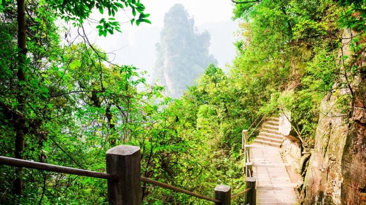 Zhangjiajie National Park's famous spots are best experienced on foot