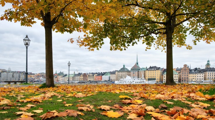 Cityscape of falling leaves during autumn in Stockholm during October.