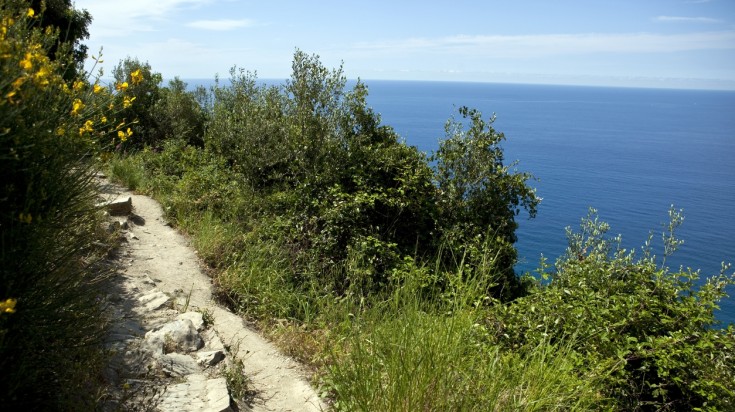 A portion of Corniglia to Manarola trail with greenery all around in Italy. 