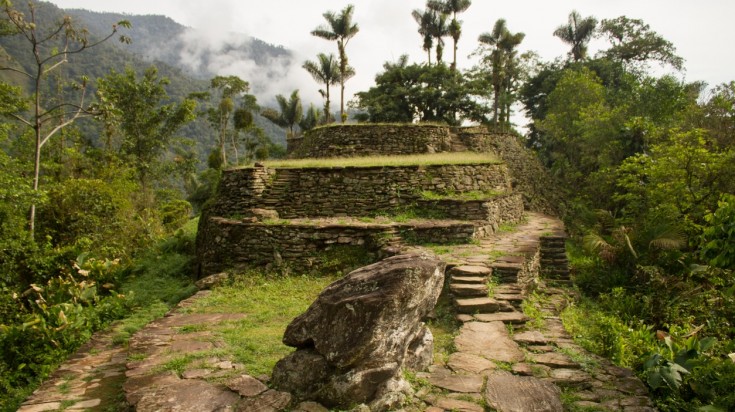 A trail in the Lost City Trek surrounded by dense forest on each side. 