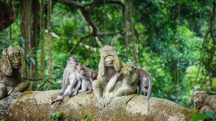 Visiting the Sacred Monkey Forest is a top thing to do in Bali