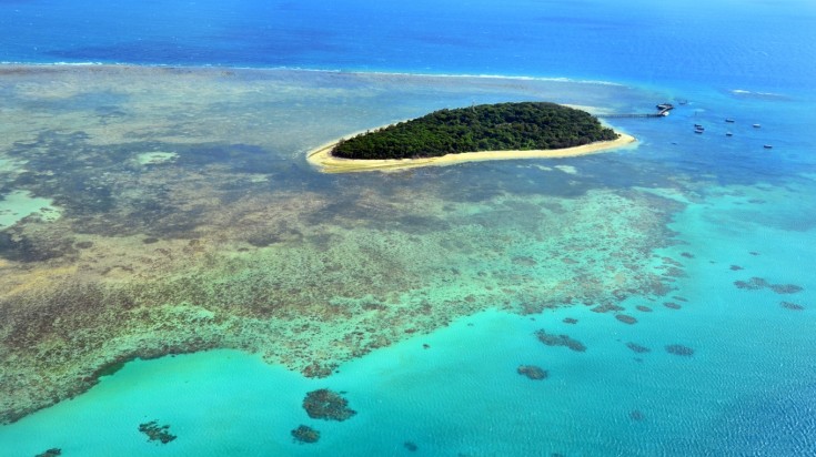 Things to do in Cairns Coral Reef