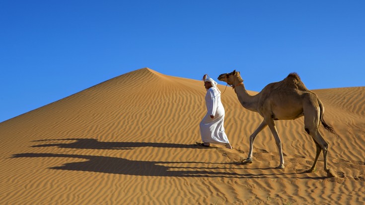 Things to do in Dubai camel riding