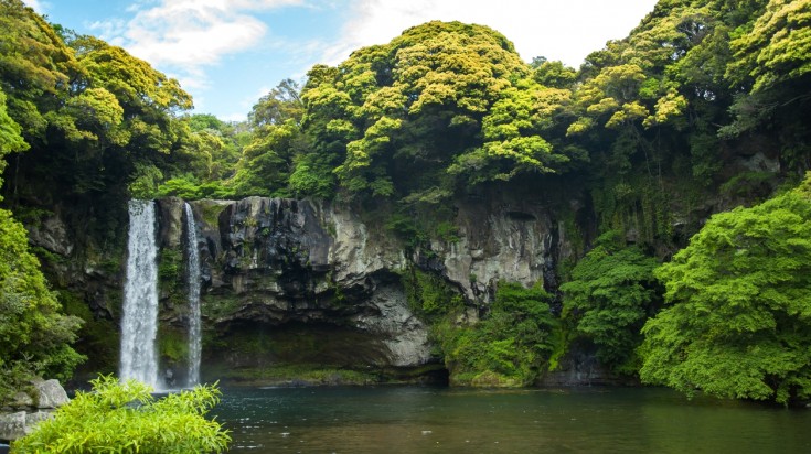 Cheonjiyeon waterfall in Jeju Island surrounded by greenery.