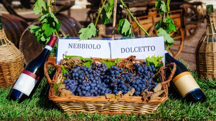 Top cities in Italy for wine tasting, definitely Barolo worth a mention