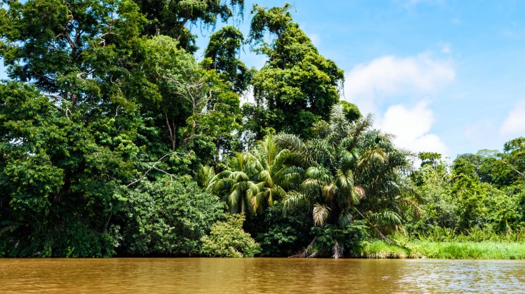 Tortuguero National Park on a sunny day, Costa Rica.