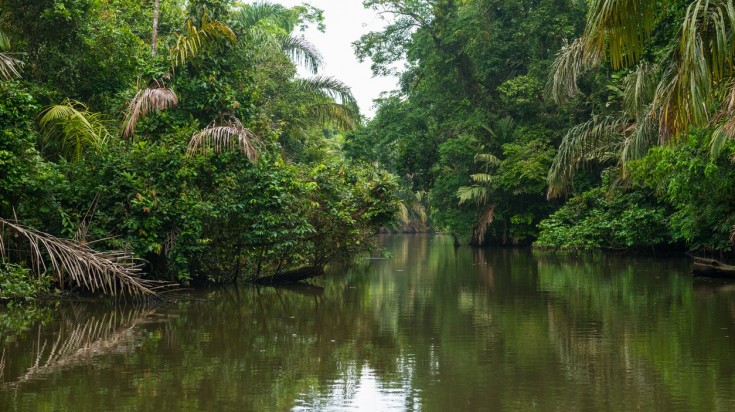 Tortuguero National Park is mostly made of intersecting system of canals