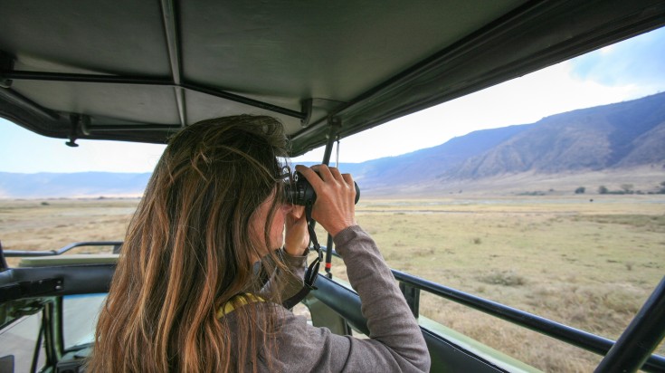 Tourist Sightseeing Through Her Binoculars On A Safari