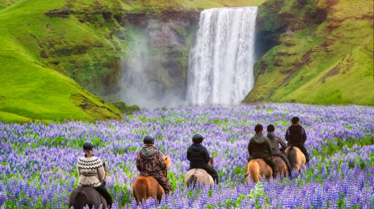 Tourists on an Icelandic horseriding trip near Skogafoss waterfall.