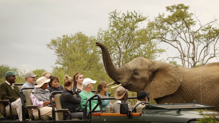 Tourists on game drive in Kenya come face to face with an elephant.