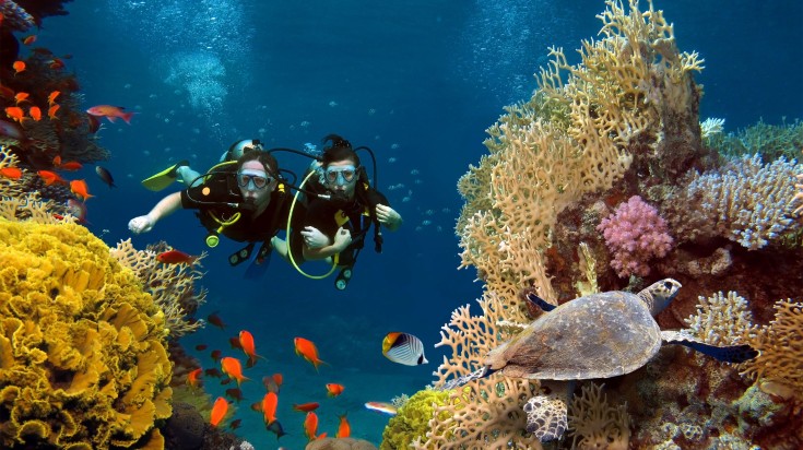 Two divers snorkeling in the Maldives ocean amist fishes and turtle.