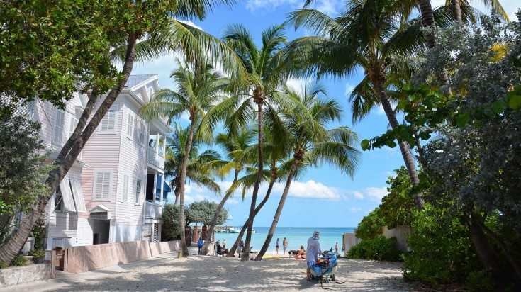 Palm trees line up the beach of Florida Keys with quaint white houses