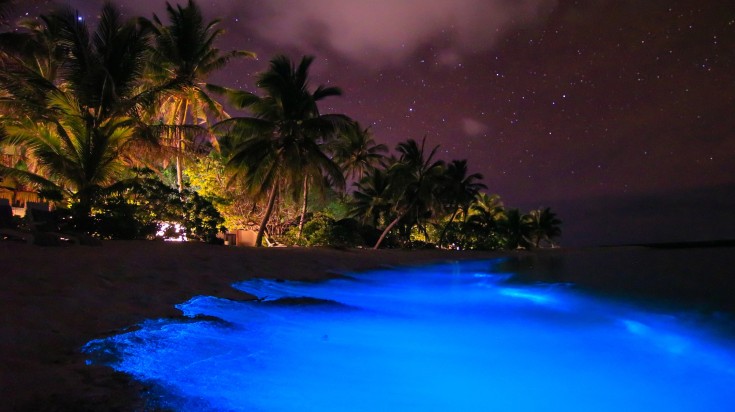 Bioluminescent beach in Vaadhoo Island in the Maldives. Bioluminescent beach in Vaadhoo Island in the Maldives.