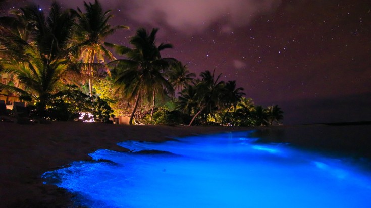 Bioluminescent beach in Vaadhoo Island in the Maldives.