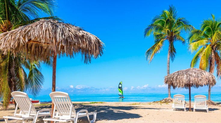 Sun loungers under straw umbrellas on sandy beach with palms on a clear day