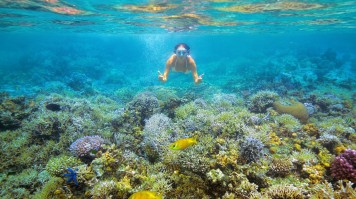 Diving in Vietnam