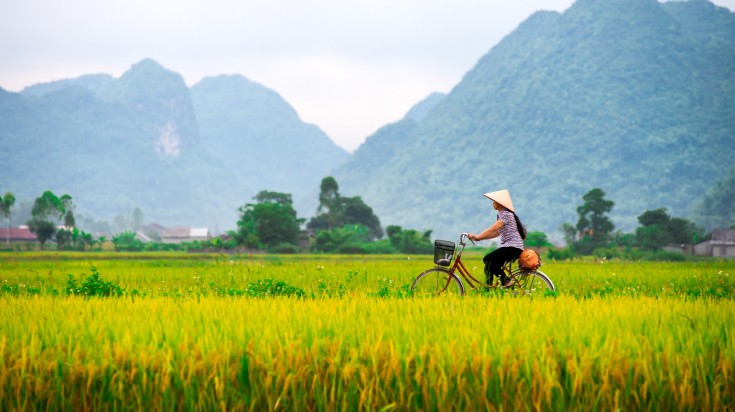 While fewer crowds and lower prices may be the advantages of visiting Vietnam in May, you should come prepared for the weather. A local woman on her bicycle along a rice field in Vietnam.