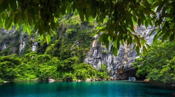 Vietnam's Best Nature Tourism Wildlife