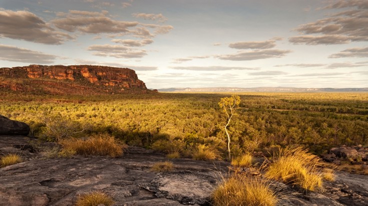 View of Kakadu National Park