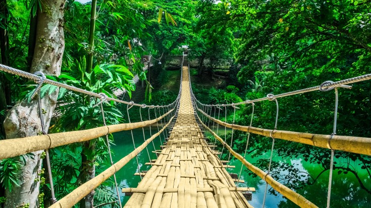 Bamboo hanging bridge over river in Bohol in the Philippines in January.