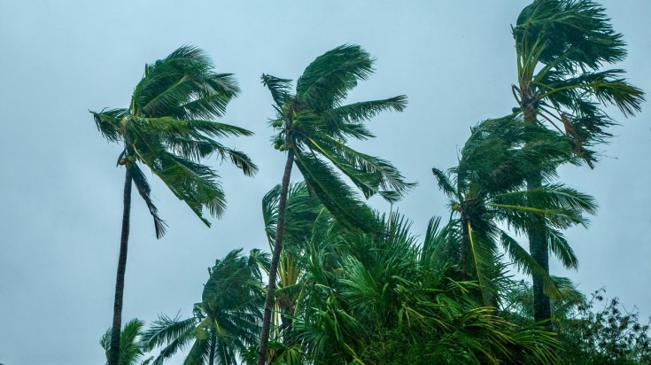 Strong wind and heavy rain on a tropical island in the Philippines.