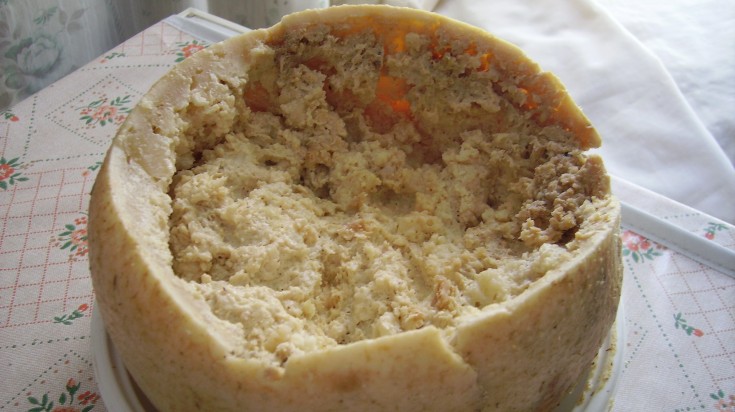 weird food Casu Marzu cheese