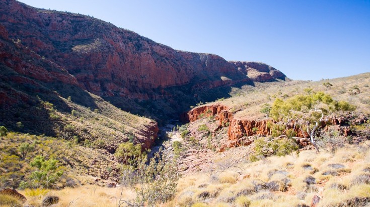 A visit to this park is the first thing to do in Alice Springs.