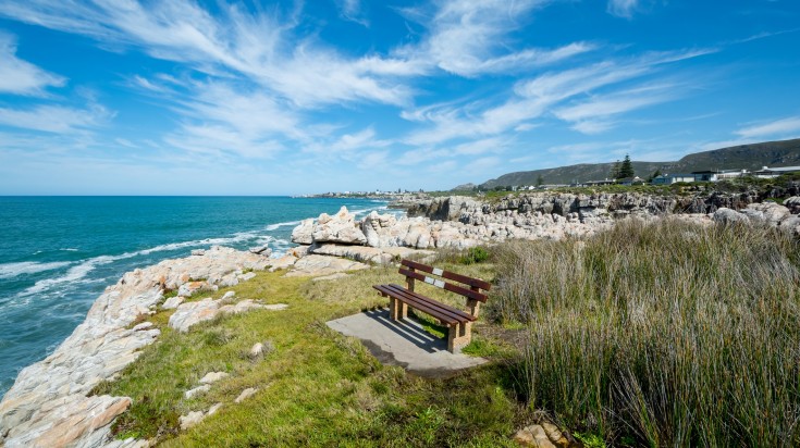 Whale Watching Land tours in Hermanus