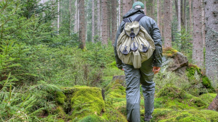 A hiker in his rain gear walks through the forest