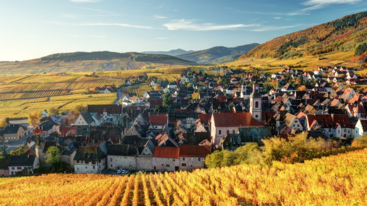 Autumn mountain landscape with vineyards in Alsace, France in October.