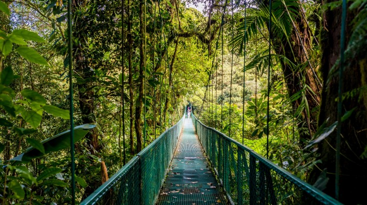 The hanging bridges in Cloud forest, Costa Rica