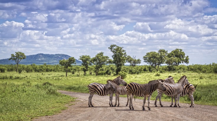 Kruger National Park is one of the largest game reserves in Africa