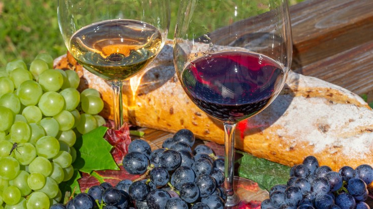 Wine glasses and fruits on the table in a wine harvesting farm.