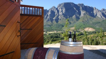 Wine Tasting at Haut Espoir in Cape Town