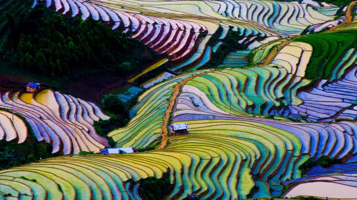 Flooded rice terrace in Yunnan province of China during winter