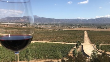 A glass of wine against the vineyards in Ensenada, Mexico