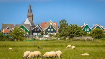 Visit the windmills and the houses as things to do in the netherlands