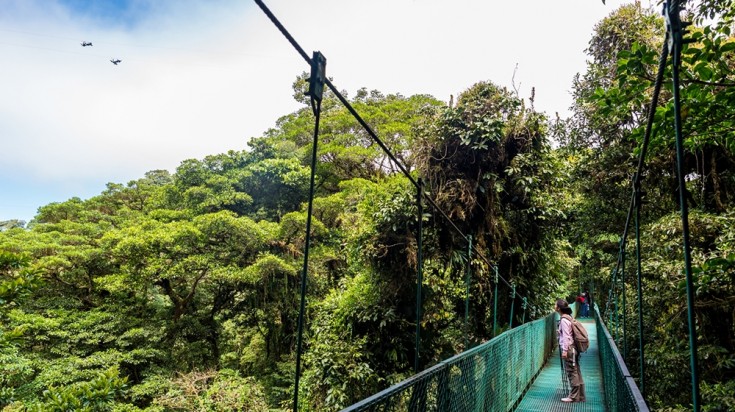 Ziplining in Costa Rica's cloud forests of Monteverde