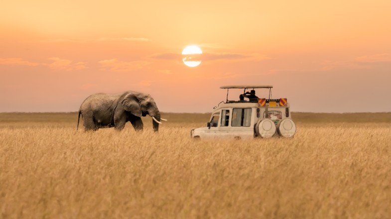 Kenya in 10 Days: 3 Recommended 10-day Itineraries to Kenya