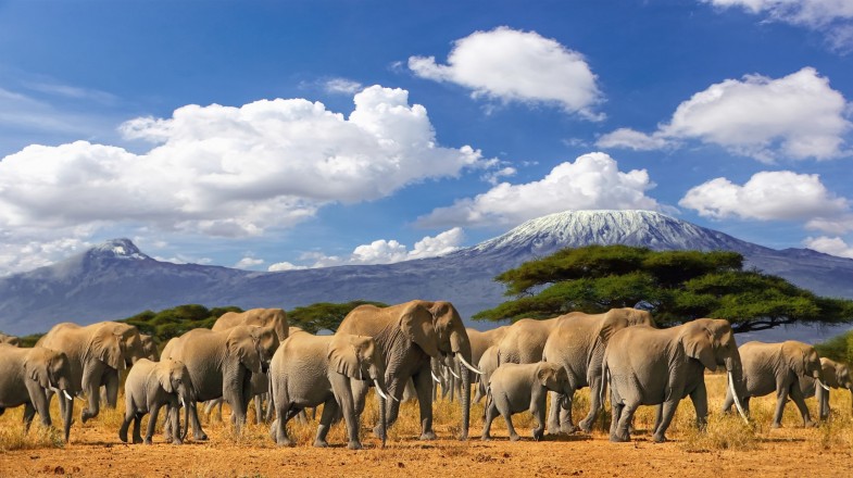 Tanzania in 2 Weeks: 3 Recommended 2-week Itineraries to Tanzania