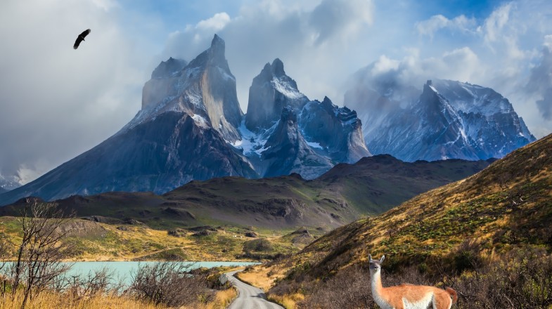 Patagonia in 5 Days: 4 Recommended 5-day Itineraries to Patagonia