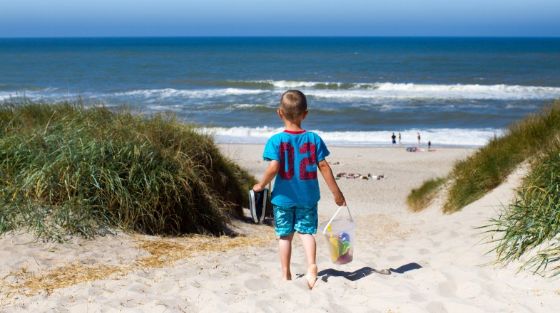 Denmark in August: Weather, Tips and More!