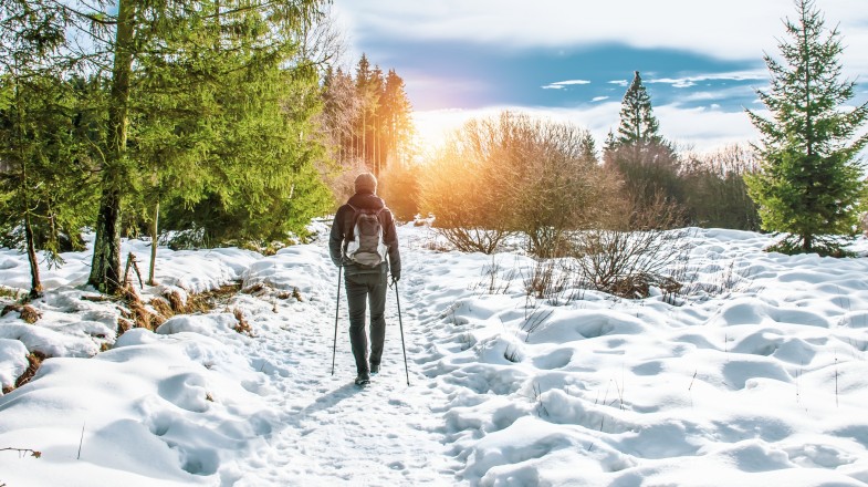 Belgium in January: Weather, Winter Festivities & More