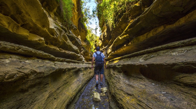 Kenya in 8 Days: 3 Recommended 8-day Itineraries to Kenya