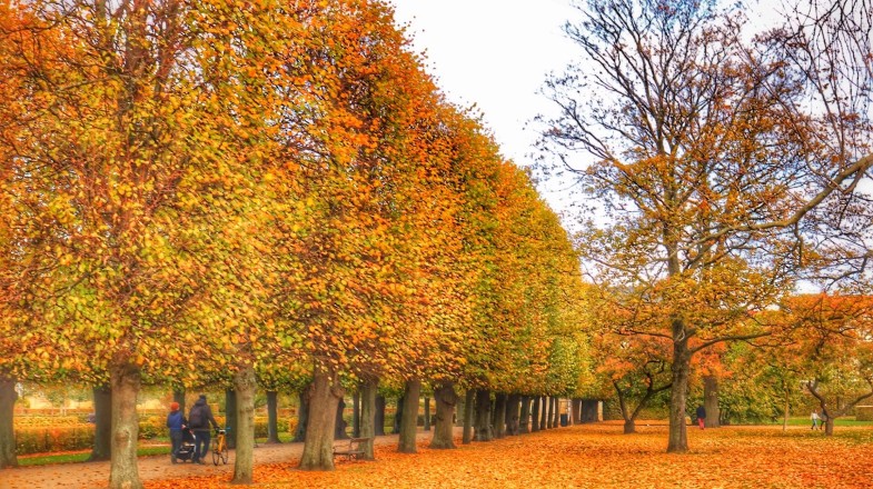 Denmark in October: Weather, Autumn Foliage and More!