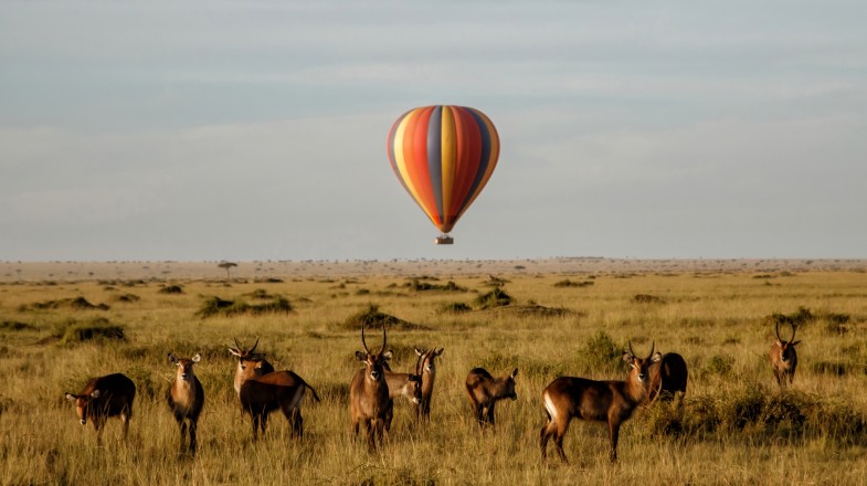 Kenya in June: Weather, Outdoor Adventures and More!