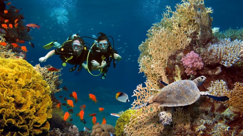 4 Best Dive Site for Beginner Divers