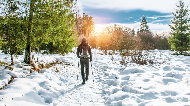 Belgium in Winter: Weather Magic and Snowy Splendor