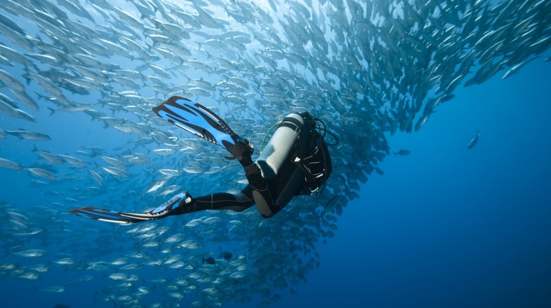 Best Dive Sites Around the World