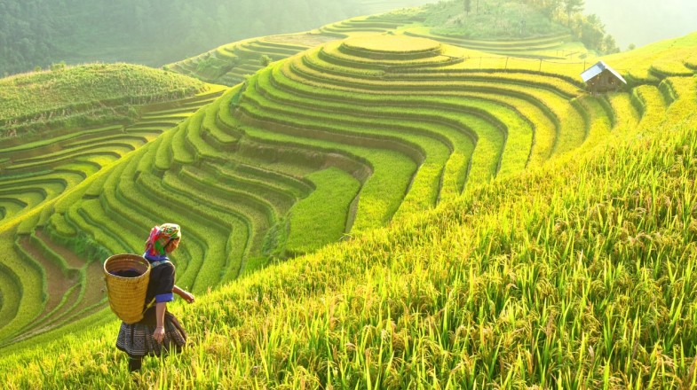 24 Best Places to Travel in Asia